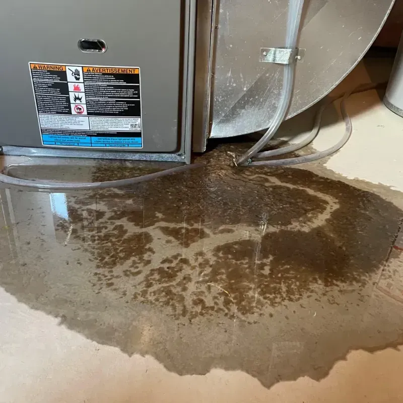 Appliance Leak Cleanup in Belmont, NC